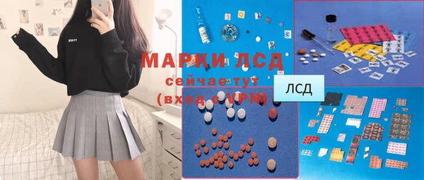 прущие грибы Волоколамск
