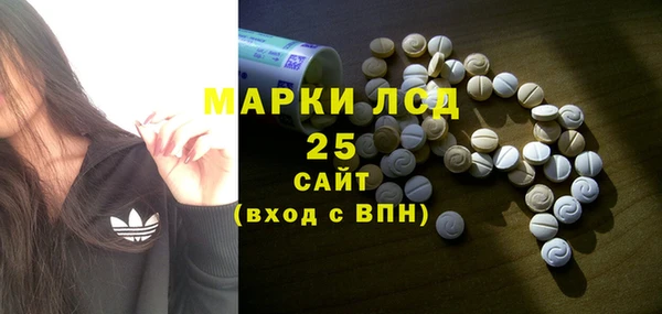 прущие грибы Волоколамск