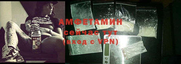 прущие грибы Волоколамск