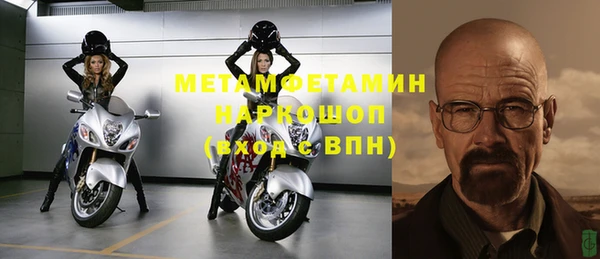 прущие грибы Волоколамск