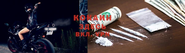 прущие грибы Волоколамск