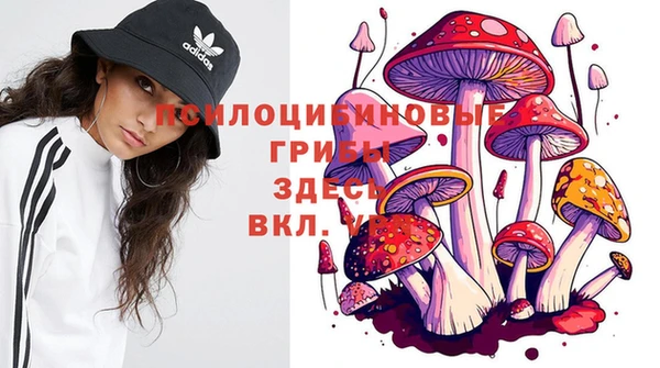 соль ск Вязники
