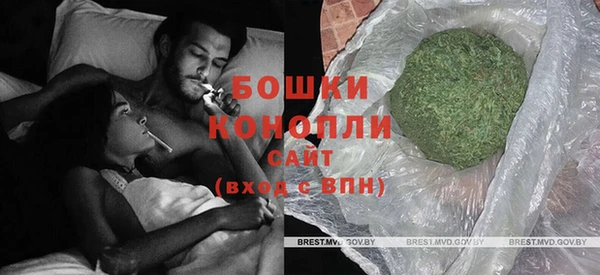 прущие грибы Волоколамск